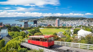 Women in Wellington